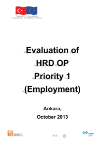 Evaluation of Employment Priority Axis (2013)
