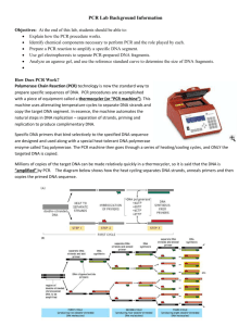 PCR lab background information