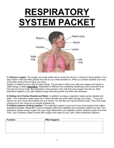 respiratory system packet - ms