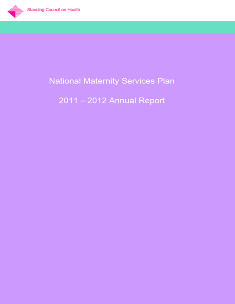 government report maternity services