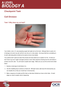 A Level Biology A Checkpoint Task (Cell Division)