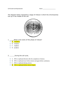 Cell Cycle Quiz key
