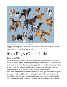 It`s a Dog`s (Genetic) Life