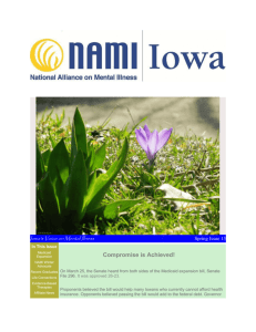 NAMI IOWA 2013 Spring Newsletter