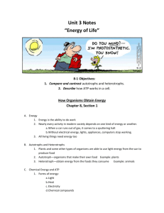 Notes on Photosynthesis