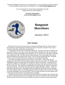 Bunganut Shorelines Summer 2013 Dam Update