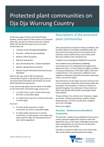 Protected Plant communities on Dja Dja Wurrung Country