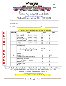 Best of Best Rodeo Entry Form