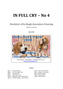 IN FULL CRY * No 4 - The Beagle Association.co.za