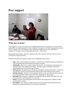 click here to see peer support document