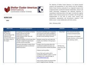 WORK PLAN - Shelter Cluster