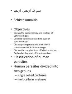 Schistosoma hematobium