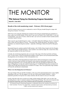 The Monitor - Issue 2, June 2014