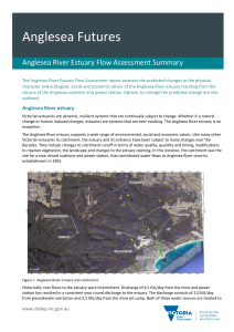 Anglesea River Estuary Flow Assessment Summary