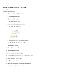 HP PreTest - -Vocab Quiz #5 List 9,10,12 AND 13 Completion