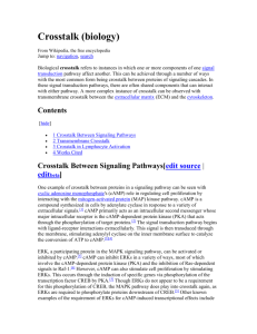 Crosstalk (biology)