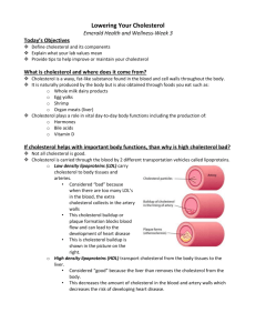 Lowering Your Cholesterol Handout