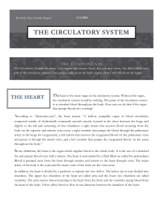 the summary - The Circulatory System