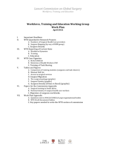 Workforce, Training and Education Working Group Work Plan