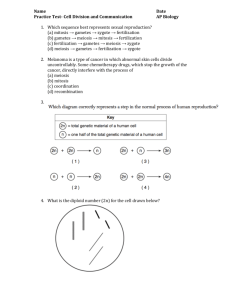 Name Date Practice Test- Cell Division and Communication AP