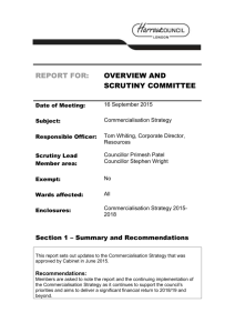 Overview Scrutiny Report