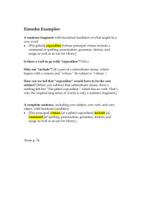 Einsohn Examples fall 14 - engl-mitchell2
