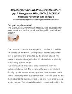Fat Pad Replacement - Foot & Ankle Specialists