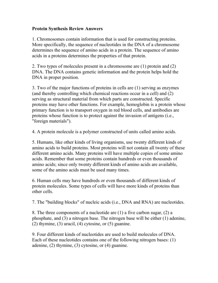 protein-synthesis-review-answer