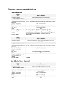 Feasibility Analysis