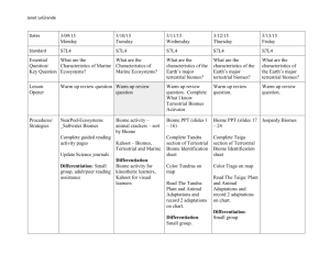 Lesson Plans w/e 03/13/2015