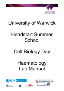 immediately - University of Warwick