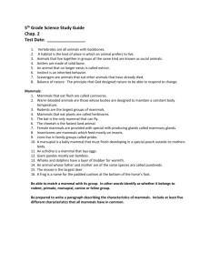 5 th Grade Science Study Guide Chap. 2 Test Date