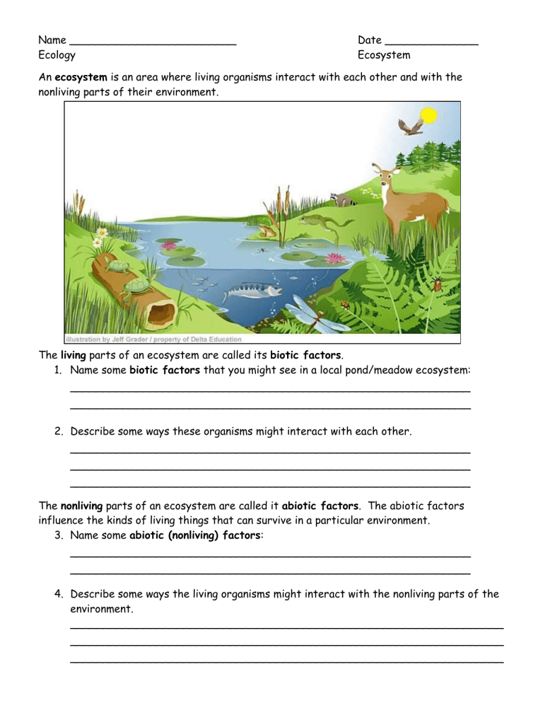 Ecosystems Worksheets