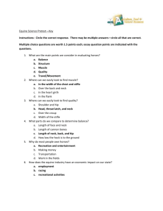 Equine Science Post-Test Key