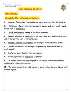 Final revision on unit 3(Model answer) (1)