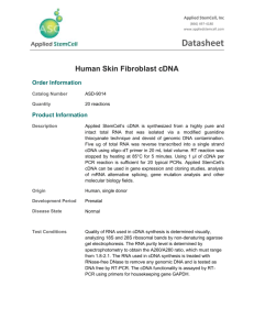 ASD-9014_Human Skin Fibroblast cDNA