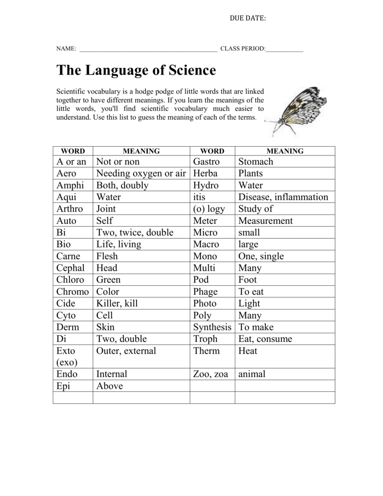 The Language of Science In Language Of Science Worksheet