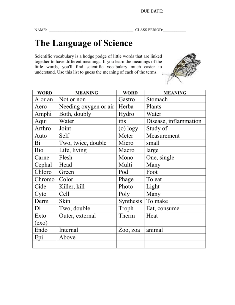 The Language of Science Inside Language Of Science Worksheet