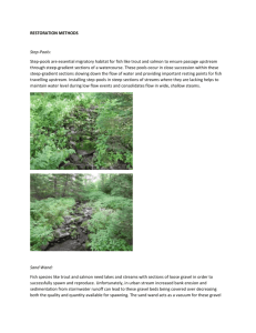 methods to restore the streams