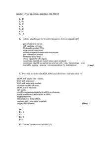 Grade 11 Test questions practice _ HL_MS_SV B D D C D A A