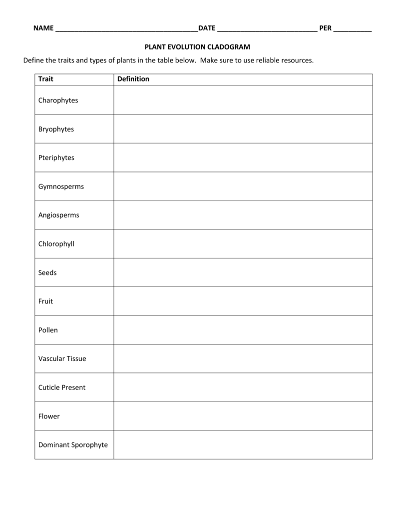 vascular plant cladogram