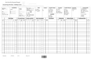 Second Stage Labor Flow Sheet from APD
