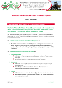 Constitution - Wales Alliance for Citizen Directed Support