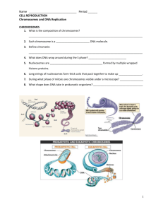 DNA Replication is Semi