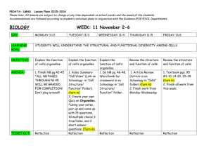 Week 11 - Lake County Schools