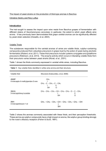 DOCX - Plumpton College