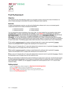 Fruit Fly Exercise 8 - mit