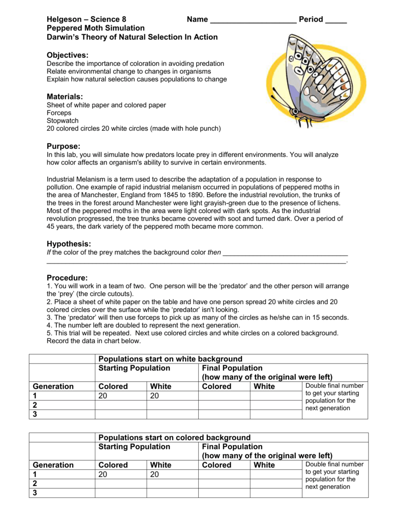 Evolution And Natural Selection Science Skills Worksheet Answers With Darwin039s Natural Selection Worksheet Answers