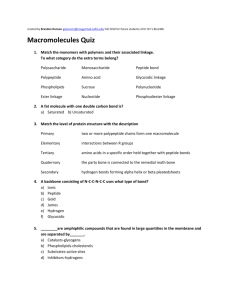 Test Yourself: Macromolecules Quiz 1