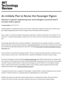 Reviving the Passenger Pigeon Article